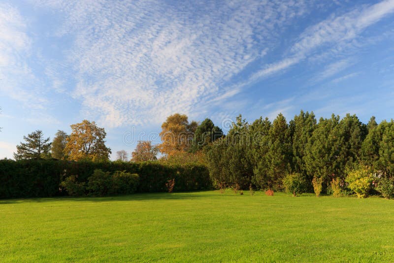 Green Garden lawn