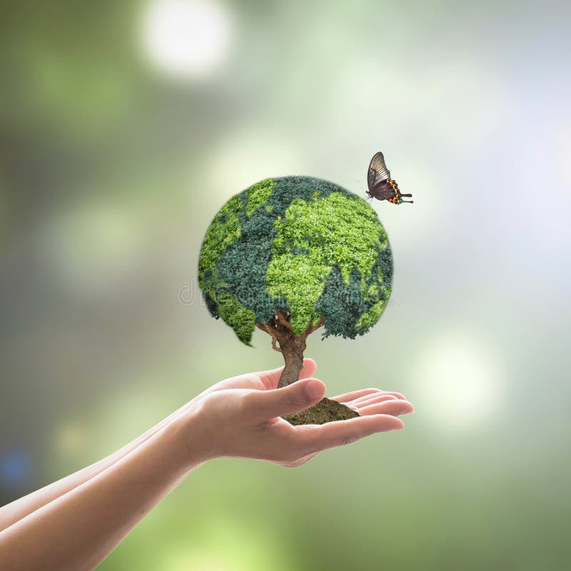 Green Globe Tree on Volunteer`s Hand for Sustainable Environment and ...