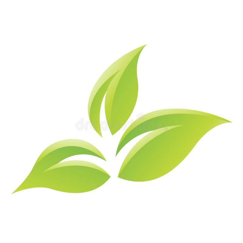 Green Glossy Leaves Icon vector illustration