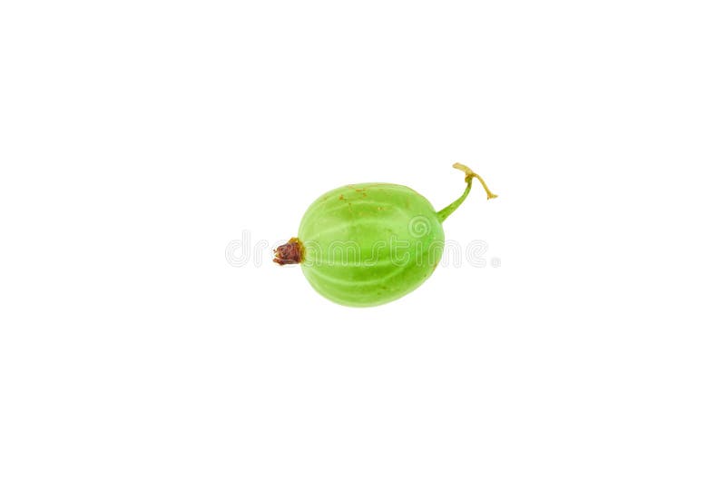 Green gooseberry isolated on white background stock photos Green gooseberry isolated on white background stock photos