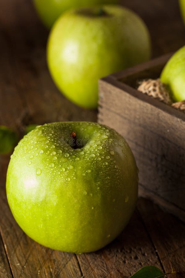 Green Granny Smith Apple stock photo. Image of nature 58446644