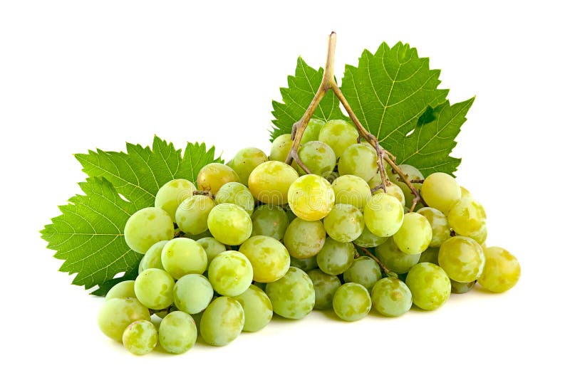 Green grape stock photo. Image of nature, wine, vine - 44687686