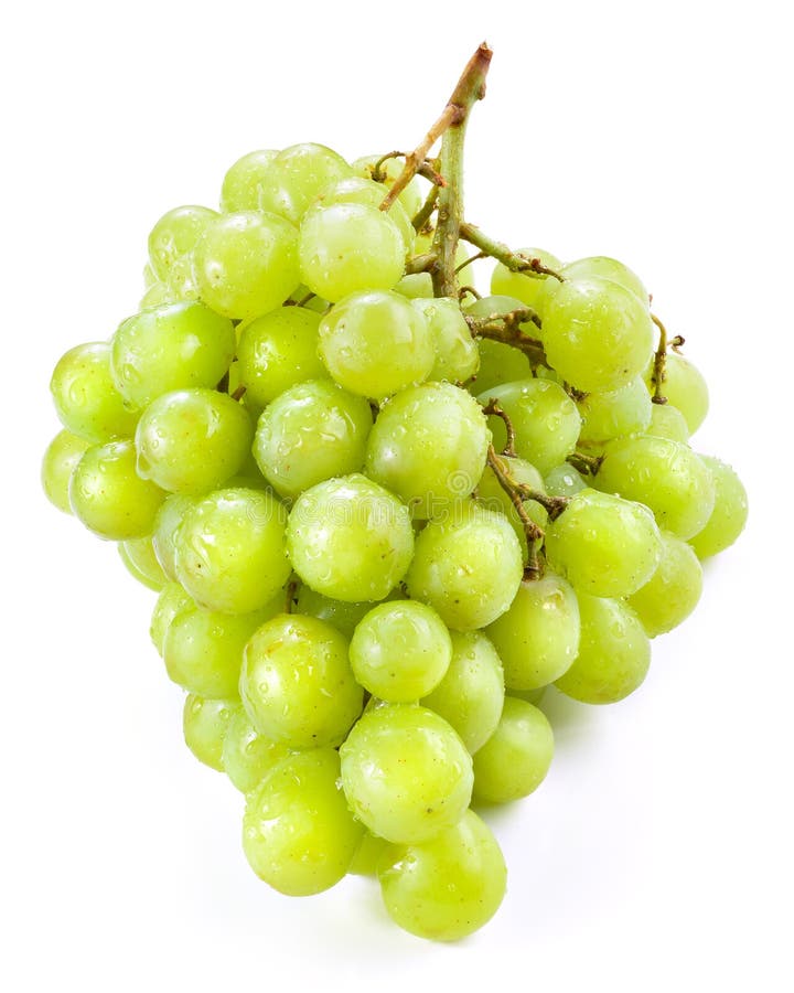 Green Grape Isolated On White Background Stock Photo - Image of berry ...