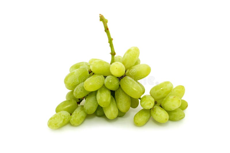 Close Up a Red Grape are Withered Stock Photo Image of nature