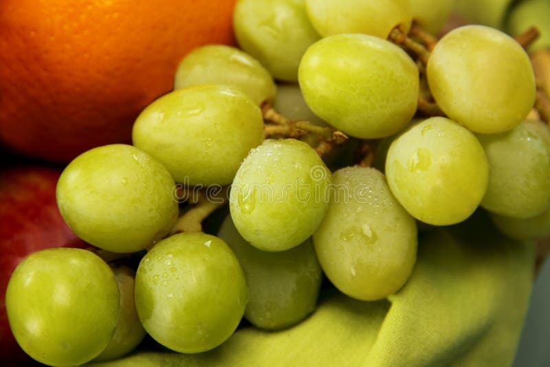 Green Grapes stock image. Image of delicious, lunch, diet 10311195