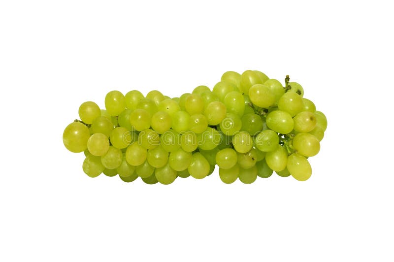 Green grapes stock photo. Image of life, healthy, assorted 11549204