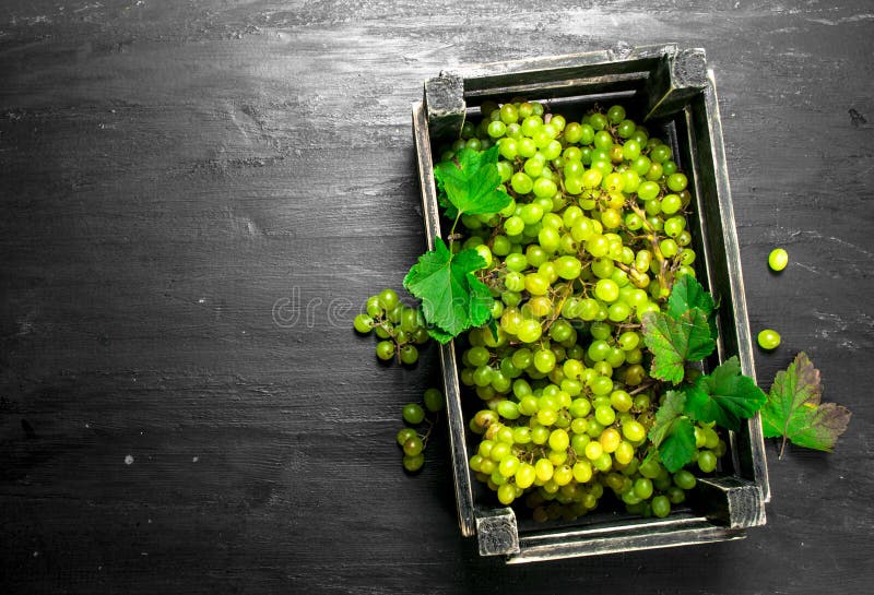 Green grapes in a box. stock photo. Image of delicious 106721294