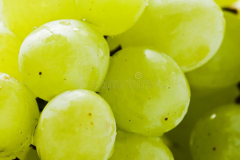Green grapes stock image. Image of delicious, summer, diet 2612055