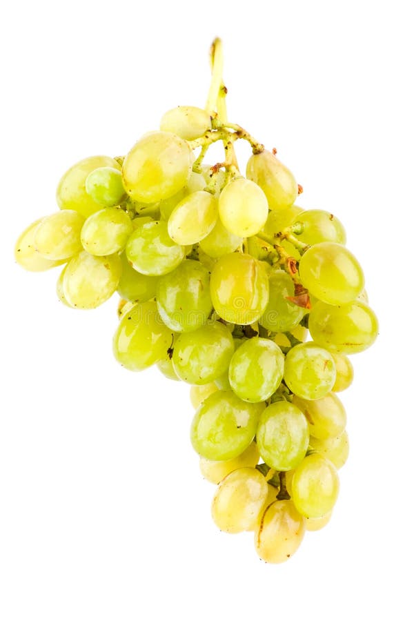 Green Grapes Isolated on White Stock Photo Image of raceme, healthy 11130122