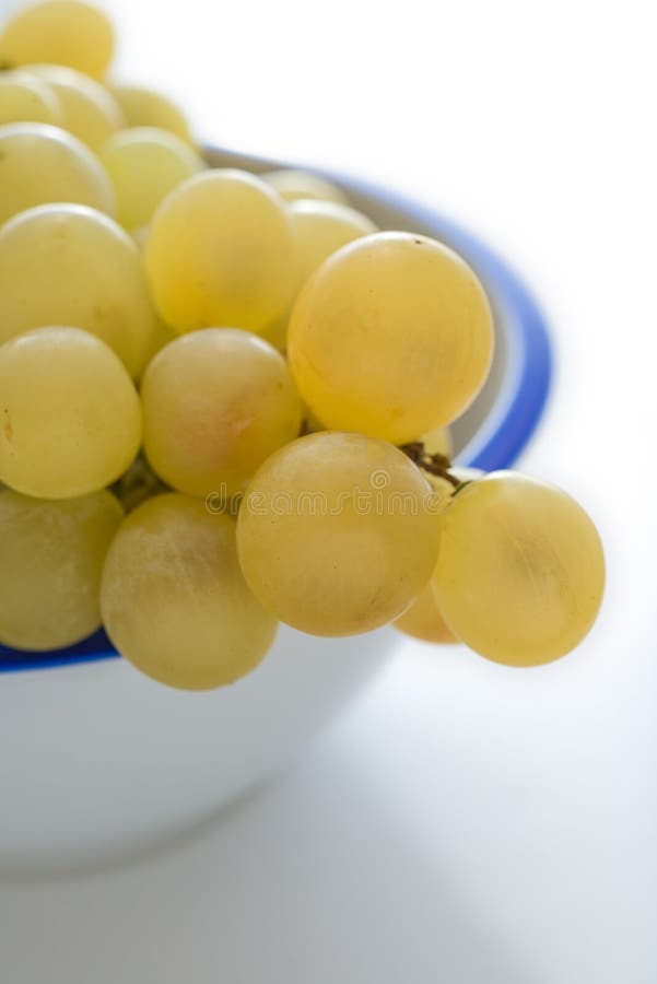 Green grapes stock image. Image of healthy, berry, nutrition 62652639