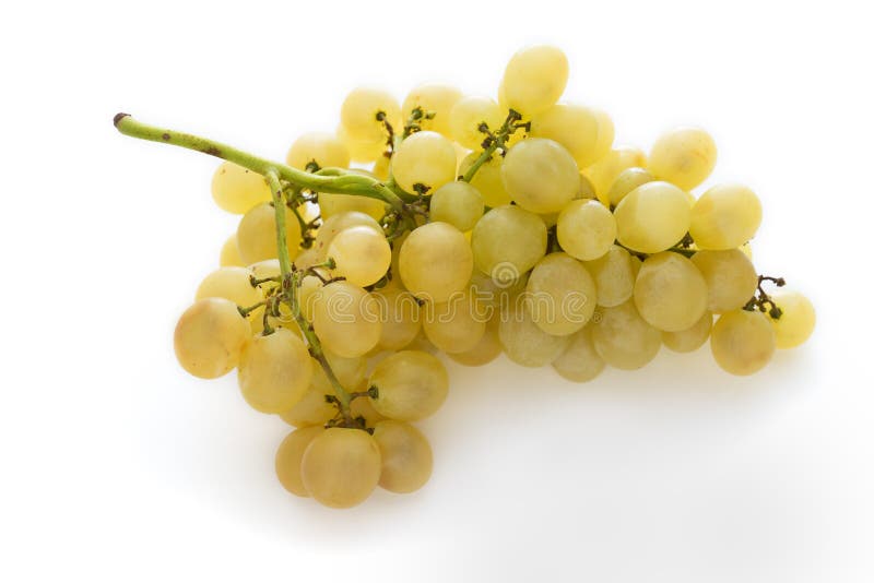 Green grapes stock image. Image of healthy, berry, nutrition 62652639