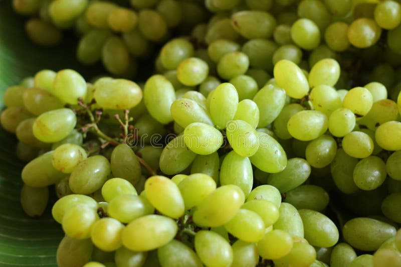 Green grapes at the market stock photo. Image of fruit 54234766