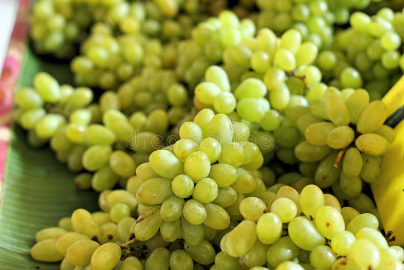 Green grapes at the market stock image. Image of healthy 54300373