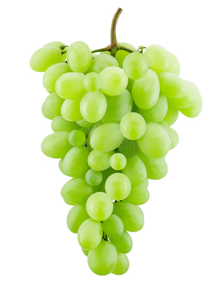 Green Grapes Isolated on a White Background Stock Image - Image of ...