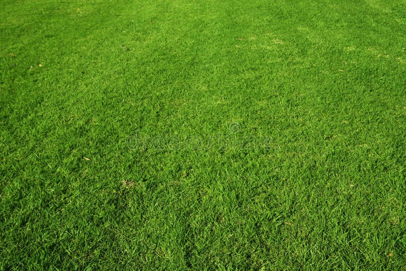 High resolution green grass background hires stock photography and images   Alamy