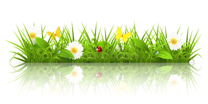 Green grass, computer illustration, background. Green drop vectors