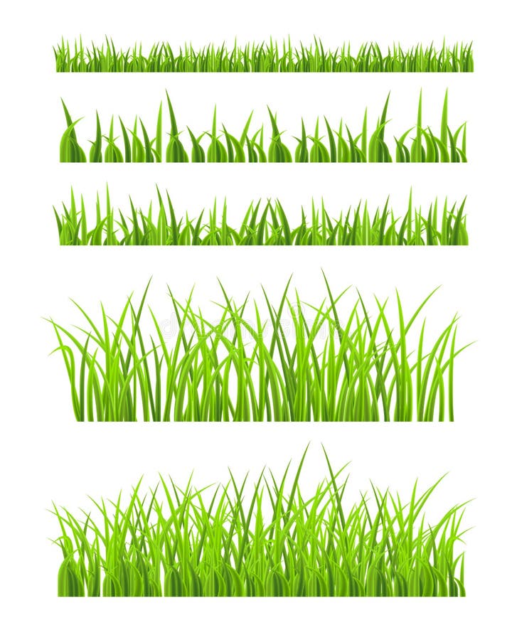 Green Grass royalty free illustration