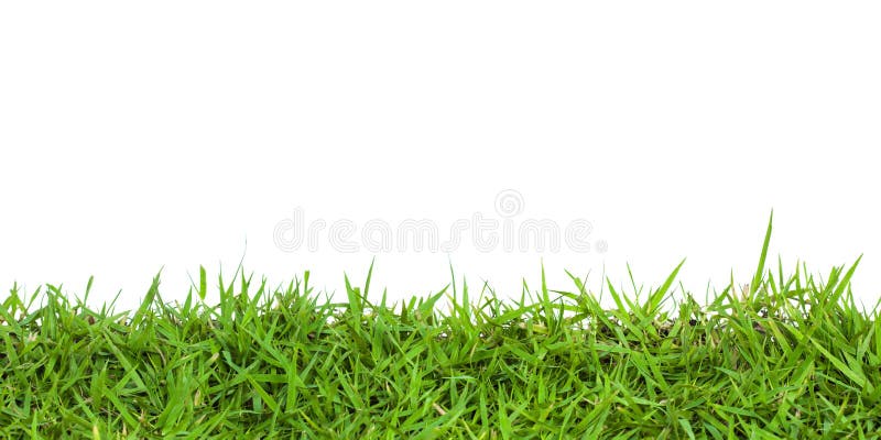 Green grass