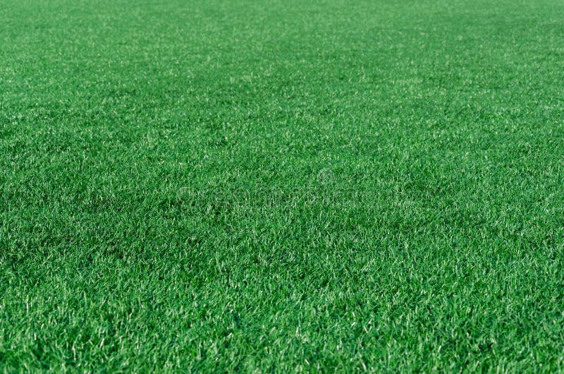 grass soccer