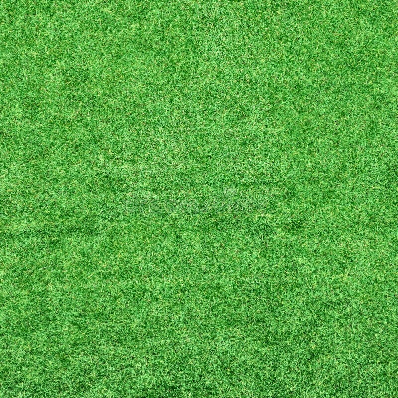 Green Grass Background Texture Stock Photo Image of clean, lawn 79617048