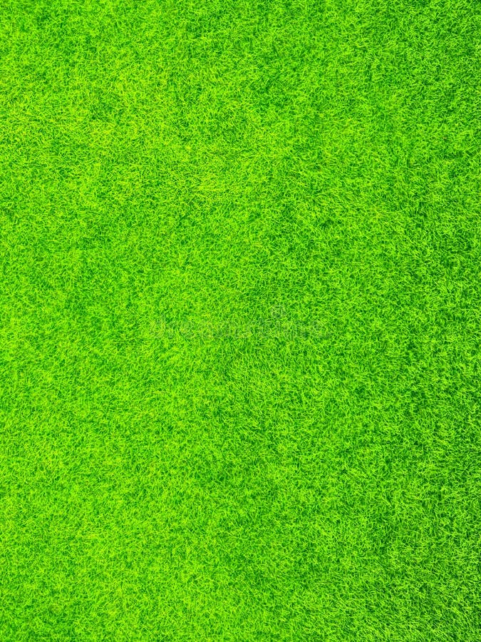 Green Grass Background Texture Stock Image Image of lawn, outdoors