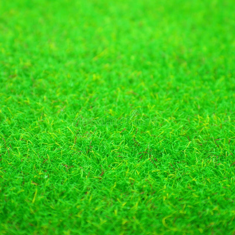 Green Grass Background Texture Stock Photo Image of park, outdoor