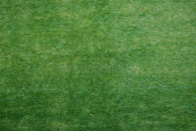 Green grass background stock photo. Image of artificial 257238786