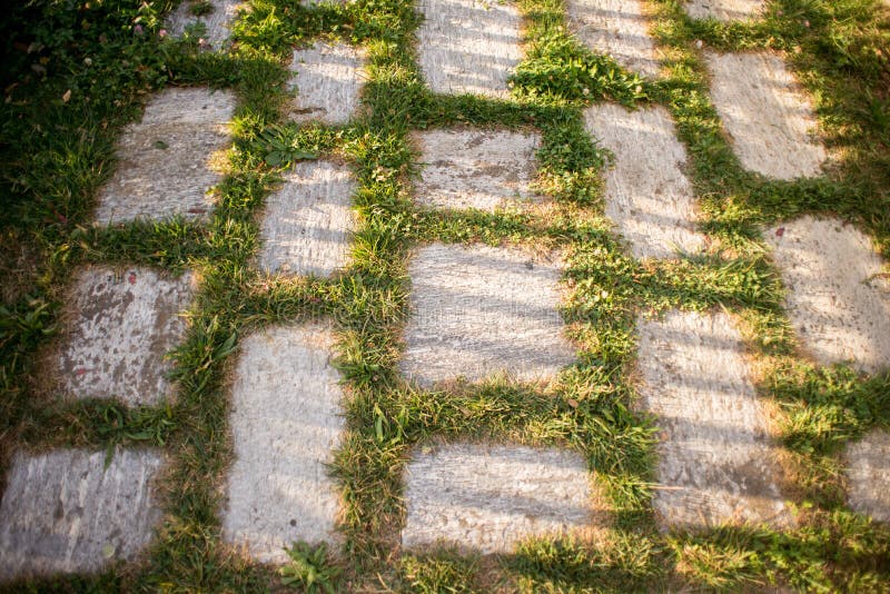 1,268 Green Grass Square Concrete Block Stock Photos - Free & Royalty-Free  Stock Photos from Dreamstime