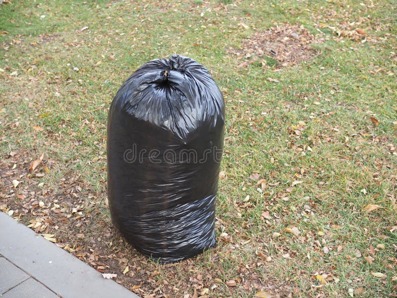 https://thumbs.dreamstime.com/b/green-grass-black-color-garbage-bag-lawn-201309054.jpg