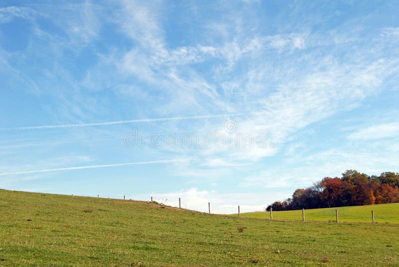 green grass and blue sky