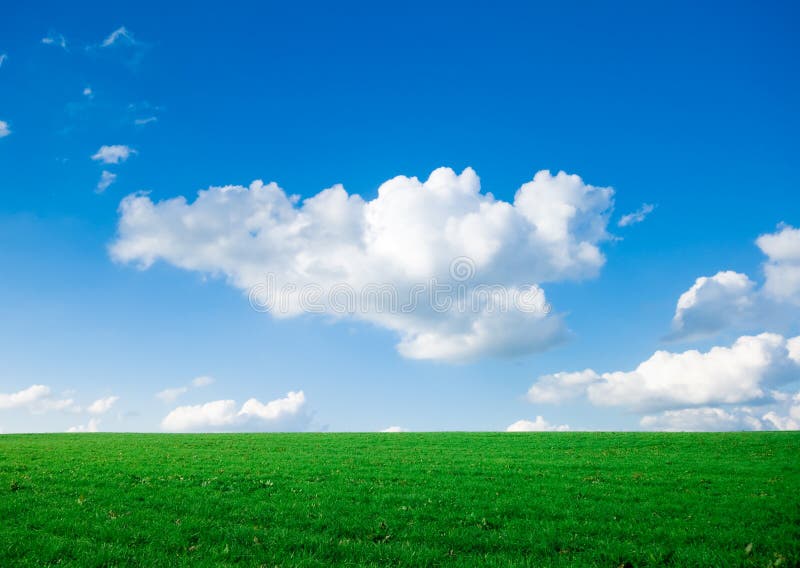 Green grass with blue sky stock images