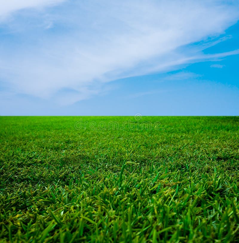 Green Grass and The Blue Sky