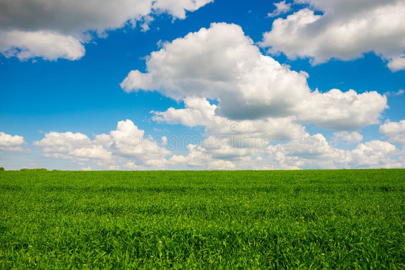 Green Grass And Blue Sky With White Clouds Stock Photo Image Of Green