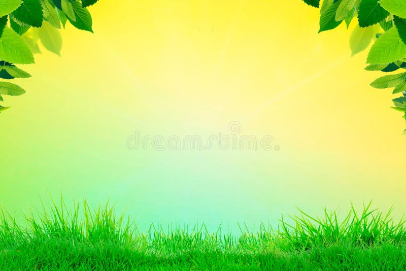 Green Grass with Blur Park Green Nature Background Bokeh Light,Mock Up for  Display or Montage of Product,Banner or Header for Stock Image - Image of  sunny, empty: 135283637