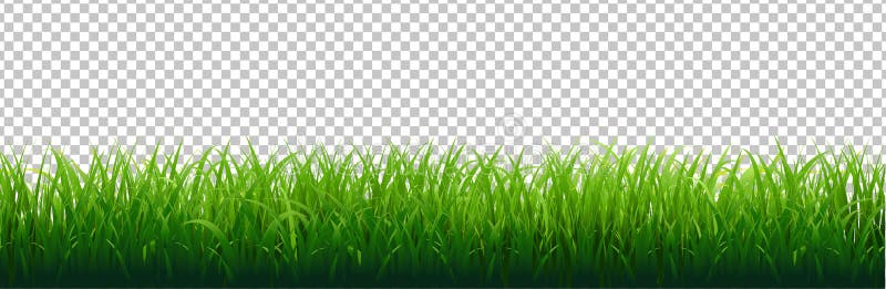 Green Grass Border Transparent Background