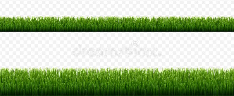 Green Grass Borders With Isolated Transparent Background royalty free stock photography