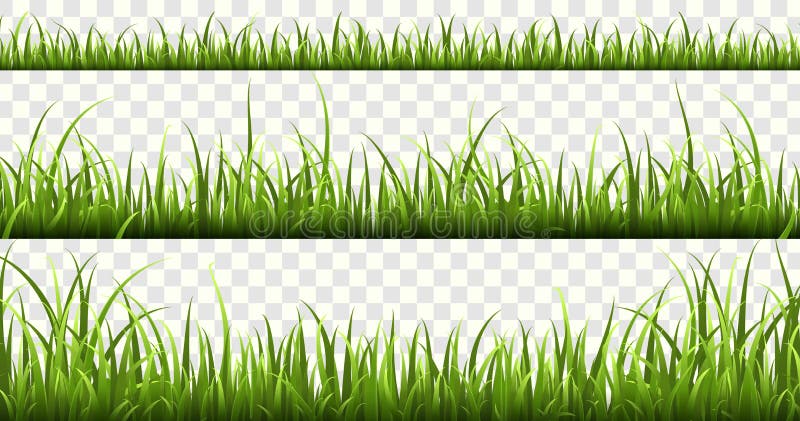 Green grass borders. Summer meadow green panorama nature herbs spring elements lawn grass isolated vector set