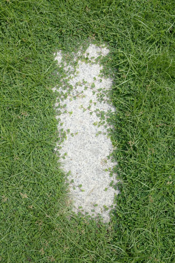 Green Grass on Cement Floor Stock Image Image of natural, texture