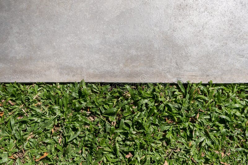 Green Grass and Cement Ground Stock Photo Image of concrete, decor