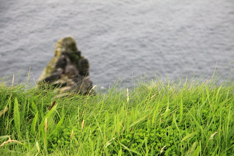 Green Grass on the Cliffs of Moher, Ireland Stock Photo Image of