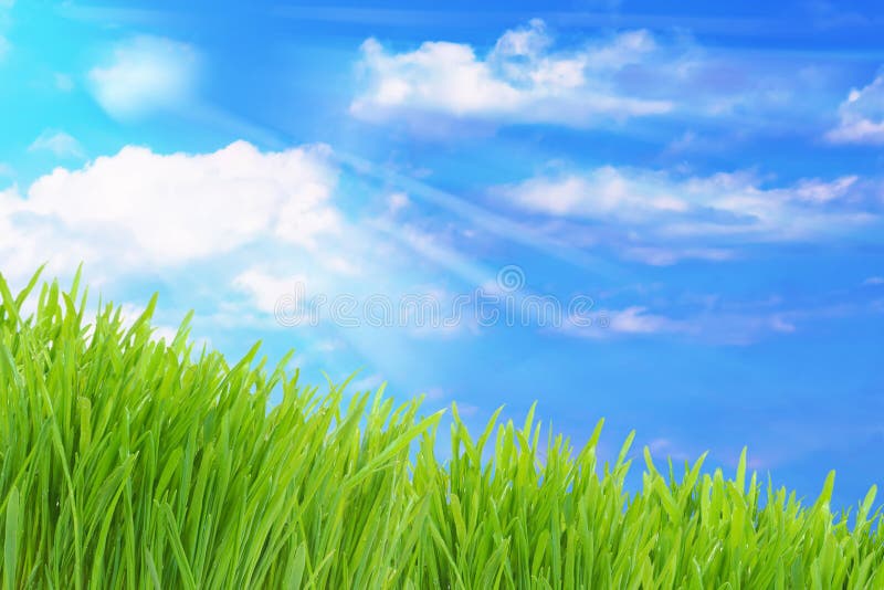 Green grass and cloudy sky royalty free stock photography Green grass and cloudy sky royalty free stock photography