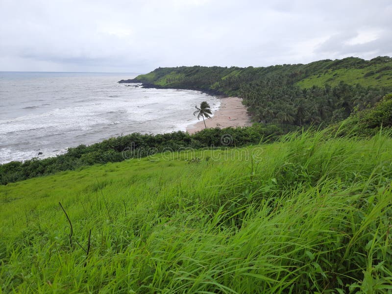 Green Grass Cover Goa Beach. Goa Beach in Monsoon Stock Image Image