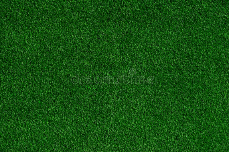 Green grass field background, texture, pattern