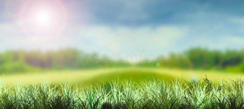 Green Grass Field with Blurred Landscape on a Background Stock Image -  Image of beam, abstract: 173626039