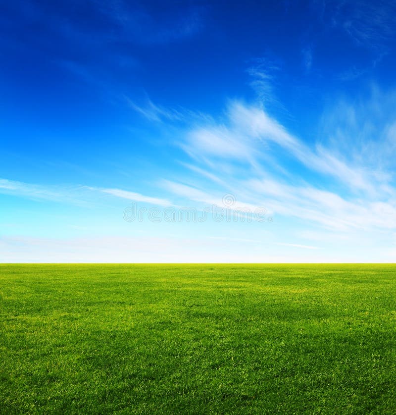 Image of green grass field and bright blue sky