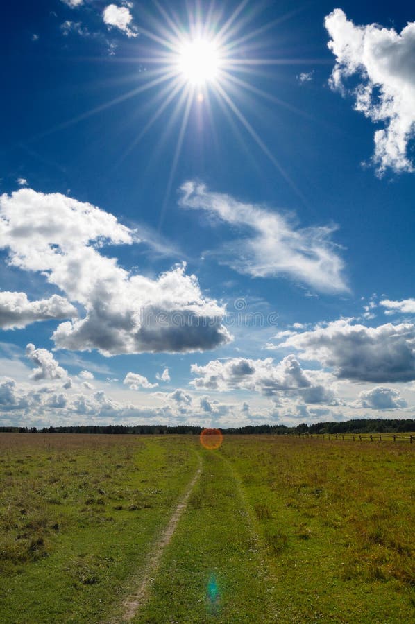 Green Grass Field in Countryside Under Midday Sun