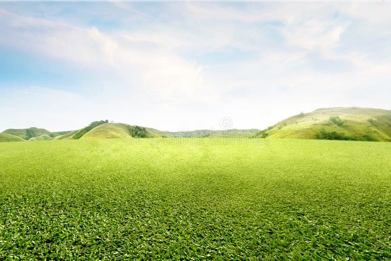 Green Grass Field with Hills Stock Photo - Image of background ...