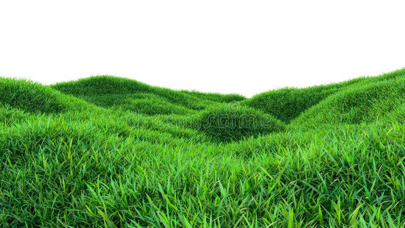 Green Grass Field Isolated on White Background Stock Illustration ...