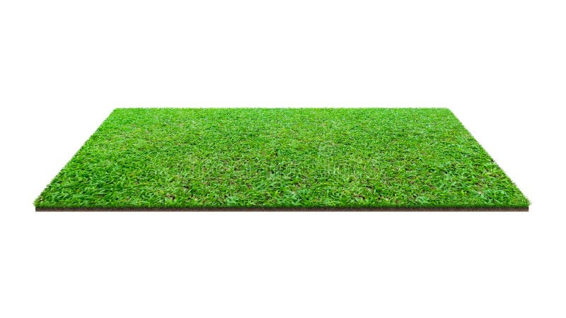 Green grass field isolated on white with clipping path. Artificial lawn grass carpet for sport background. Background for landscape, park and outdoor