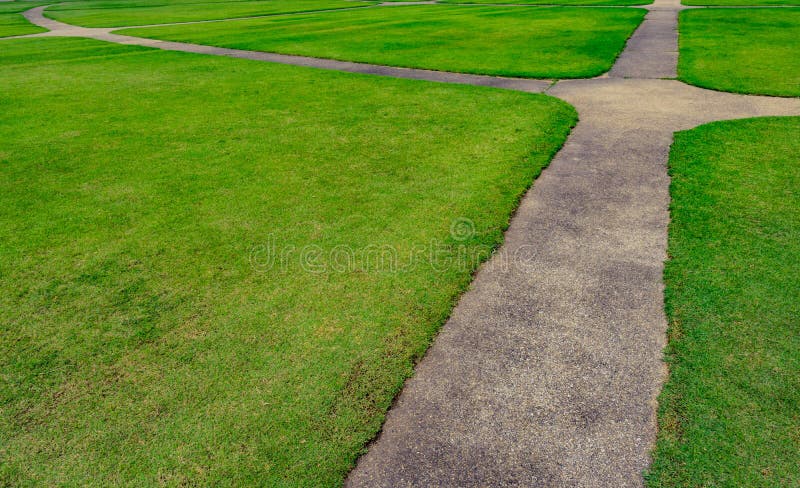 Green grass field with line pattern texture background and walkway